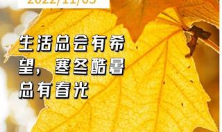 2022年接近尾声的说说 2022年接近尾声的说说